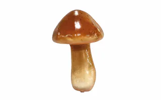 IMÁN SETA POLIESTIRENO 6*8CMS