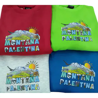 SUDADERA CLASICA ROLY NIÑO