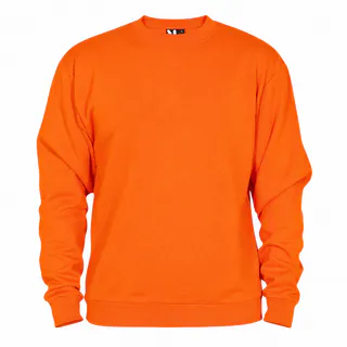 SUDADERA CLASICA ROLY ADULTO