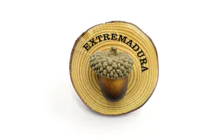 IMÁN RODAJA TRONCO MADERA CON BELLOTA