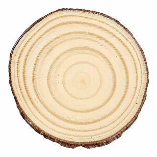 IMÁN RODAJA TRONCO MADERA NATURAL