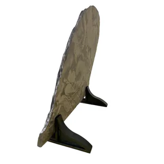 PIZARRA CAMPANA 15X15 CM